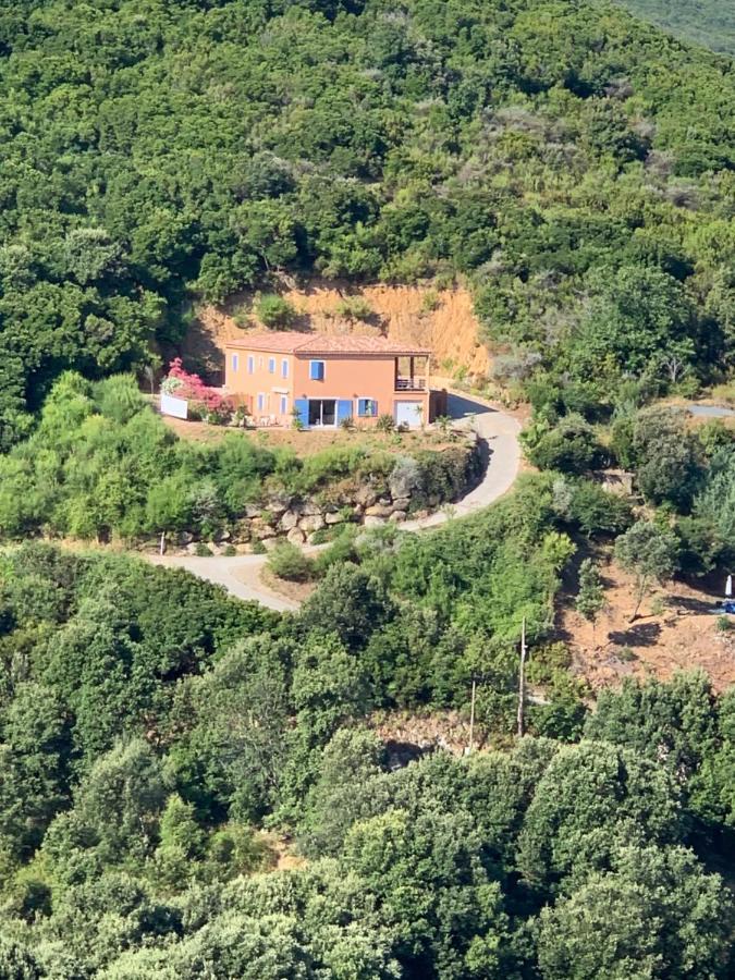 Villa Confina Villanova Zewnętrze zdjęcie